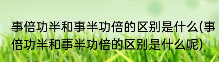 事倍功半和事半功倍的区别是什么(事倍功半和事半功倍的区别是什么呢)
