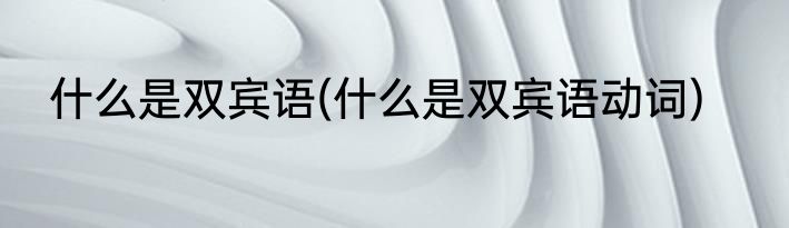 什么是双宾语(什么是双宾语动词)