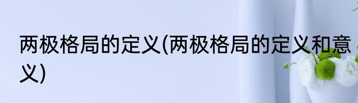 两极格局的定义(两极格局的定义和意义)