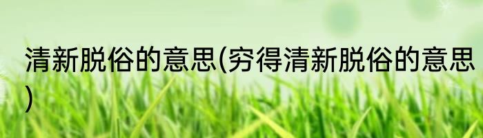 清新脱俗的意思(穷得清新脱俗的意思)