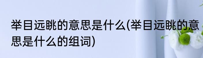 举目远眺的意思是什么(举目远眺的意思是什么的组词)