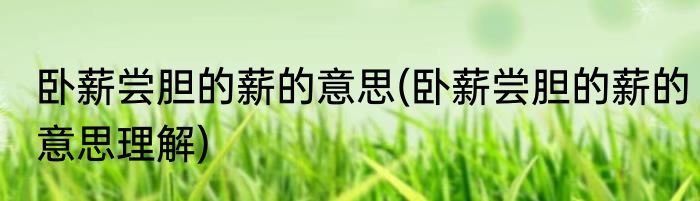 卧薪尝胆的薪的意思(卧薪尝胆的薪的意思理解)