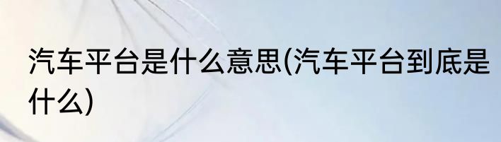 汽车平台是什么意思(汽车平台到底是什么)