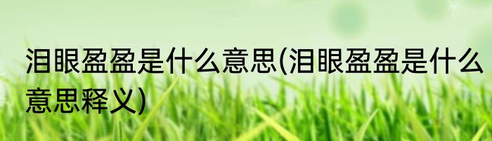 泪眼盈盈是什么意思(泪眼盈盈是什么意思释义)