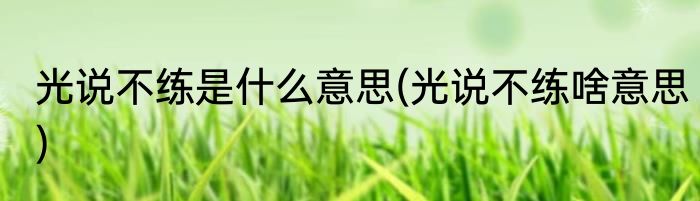 光说不练是什么意思(光说不练啥意思)