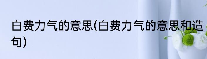 白费力气的意思(白费力气的意思和造句)