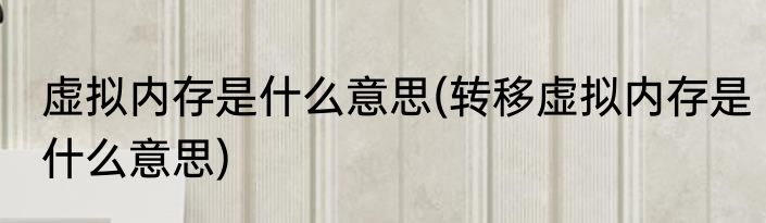 虚拟内存是什么意思(转移虚拟内存是什么意思)