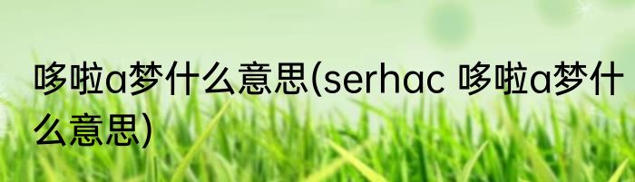 哆啦a梦什么意思(serhac 哆啦a梦什么意思)