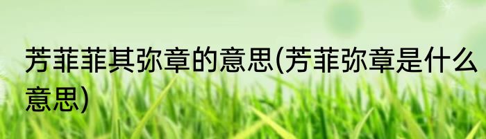 芳菲菲其弥章的意思(芳菲弥章是什么意思)