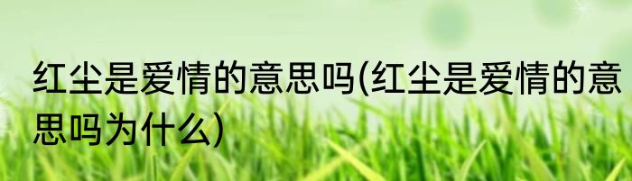 红尘是爱情的意思吗(红尘是爱情的意思吗为什么)