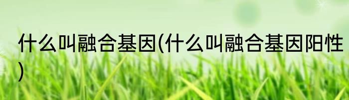 什么叫融合基因(什么叫融合基因阳性)