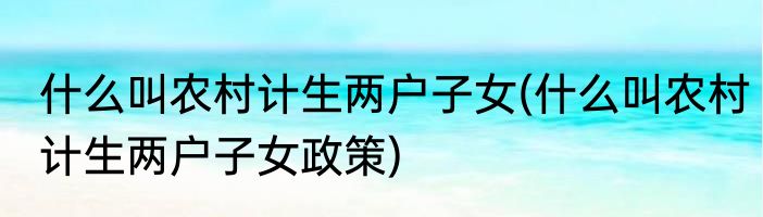 什么叫农村计生两户子女(什么叫农村计生两户子女政策)