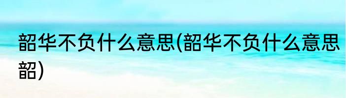 韶华不负什么意思(韶华不负什么意思韶)