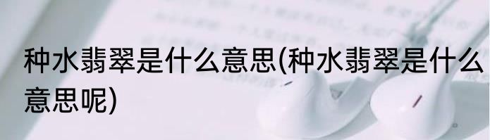 种水翡翠是什么意思(种水翡翠是什么意思呢)