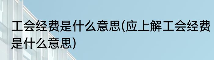 工会经费是什么意思(应上解工会经费是什么意思)