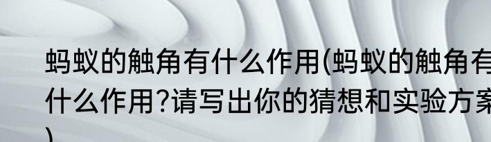 蚂蚁的触角有什么作用(蚂蚁的触角有什么作用?请写出你的猜想和实验方案)