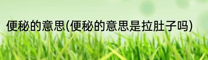 便秘的意思(便秘的意思是拉肚子吗)