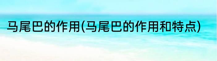 马尾巴的作用(马尾巴的作用和特点)