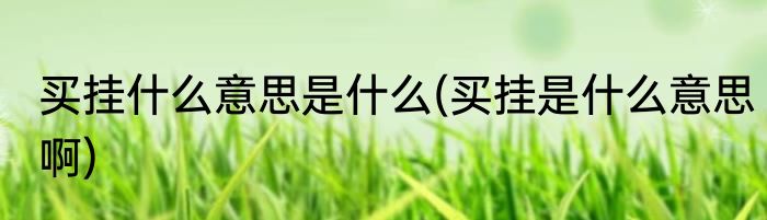 买挂什么意思是什么(买挂是什么意思啊)