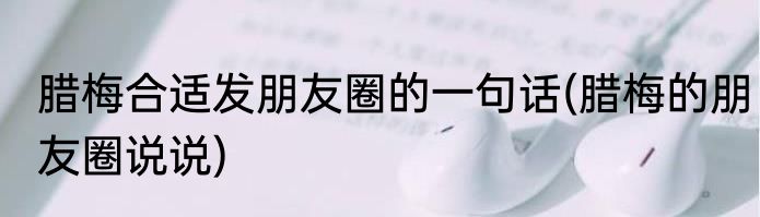 腊梅合适发朋友圈的一句话(腊梅的朋友圈说说)