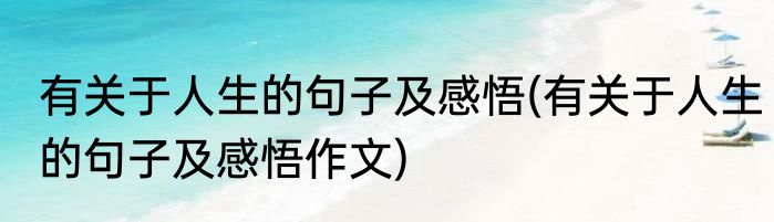 有关于人生的句子及感悟(有关于人生的句子及感悟作文)