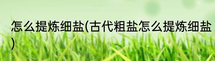 怎么提炼细盐(古代粗盐怎么提炼细盐)