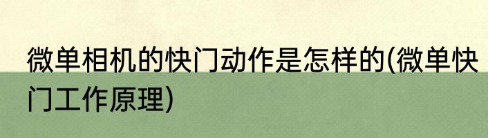 微单相机的快门动作是怎样的(微单快门工作原理)