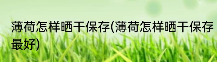 薄荷怎样晒干保存(薄荷怎样晒干保存最好)