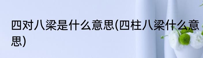 四对八梁是什么意思(四柱八梁什么意思)