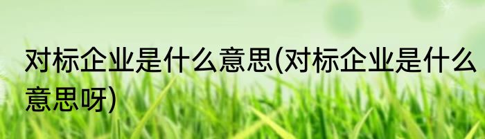 对标企业是什么意思(对标企业是什么意思呀)