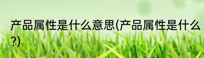产品属性是什么意思(产品属性是什么?)