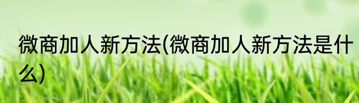 微商加人新方法(微商加人新方法是什么)