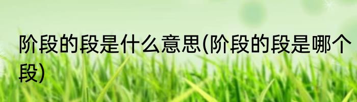 阶段的段是什么意思(阶段的段是哪个段)