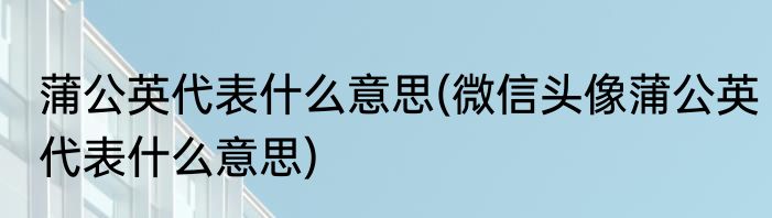 蒲公英代表什么意思(微信头像蒲公英代表什么意思)