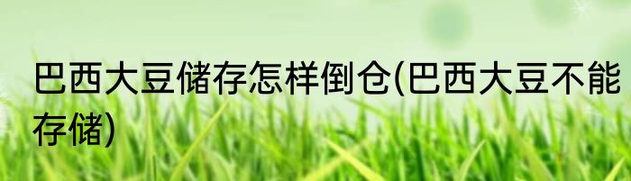 巴西大豆储存怎样倒仓(巴西大豆不能存储)