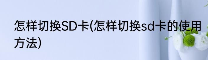 怎样切换SD卡(怎样切换sd卡的使用方法)