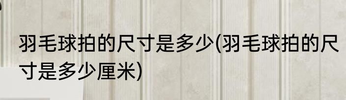 羽毛球拍的尺寸是多少(羽毛球拍的尺寸是多少厘米)