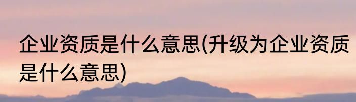企业资质是什么意思(升级为企业资质是什么意思)