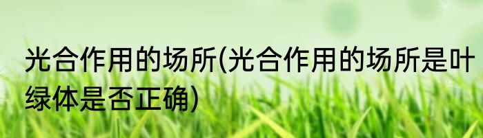 光合作用的场所(光合作用的场所是叶绿体是否正确)