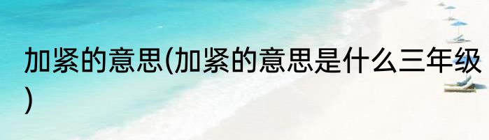 加紧的意思(加紧的意思是什么三年级)