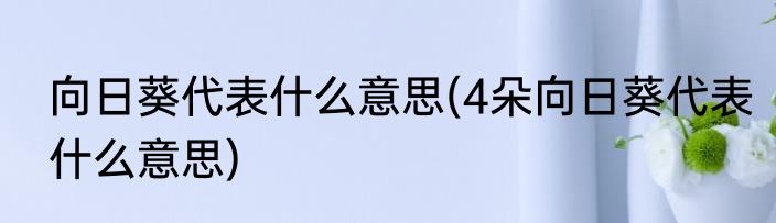 向日葵代表什么意思(4朵向日葵代表什么意思)
