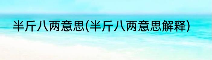 半斤八两意思(半斤八两意思解释)