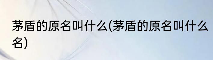 茅盾的原名叫什么(茅盾的原名叫什么名)