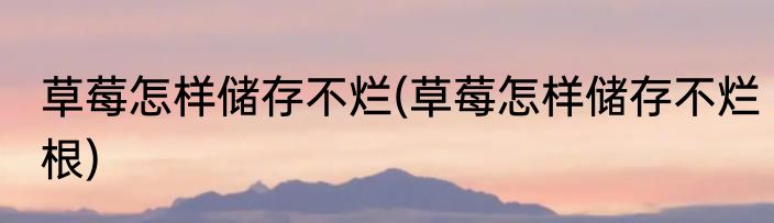 草莓怎样储存不烂(草莓怎样储存不烂根)