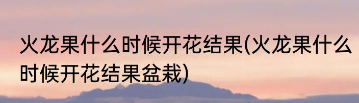 火龙果什么时候开花结果(火龙果什么时候开花结果盆栽)