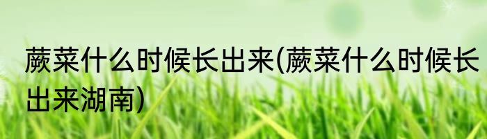 蕨菜什么时候长出来(蕨菜什么时候长出来湖南)
