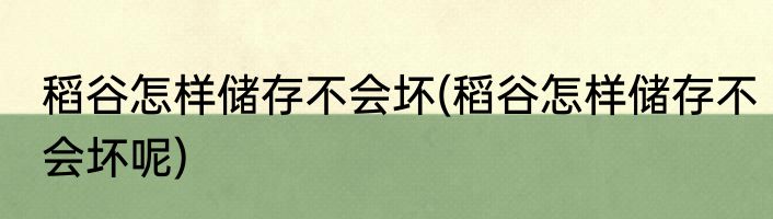 稻谷怎样储存不会坏(稻谷怎样储存不会坏呢)