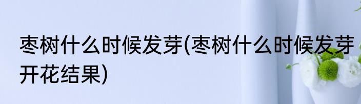 枣树什么时候发芽(枣树什么时候发芽开花结果)