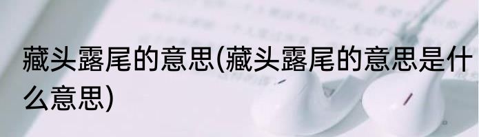 藏头露尾的意思(藏头露尾的意思是什么意思)