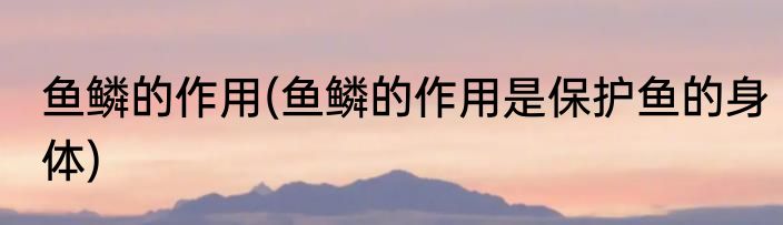 鱼鳞的作用(鱼鳞的作用是保护鱼的身体)